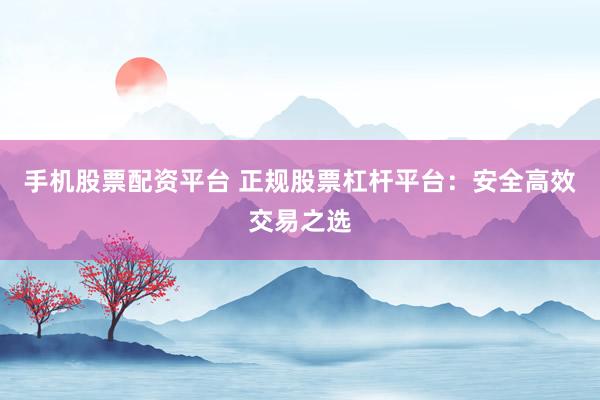 手机股票配资平台 正规股票杠杆平台：安全高效交易之选