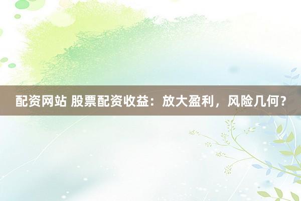 配资网站 股票配资收益：放大盈利，风险几何？