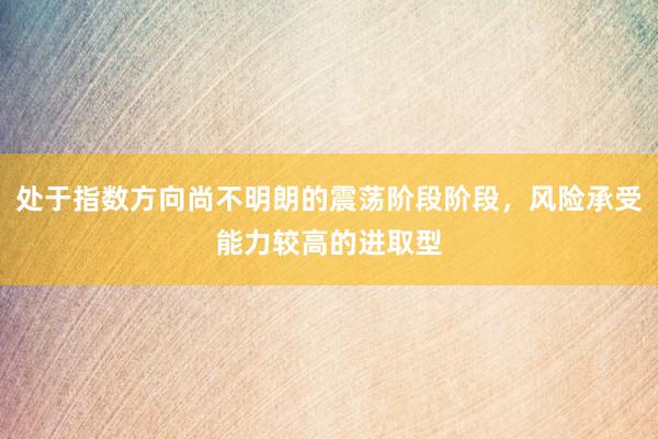 处于指数方向尚不明朗的震荡阶段阶段，风险承受能力较高的进取型