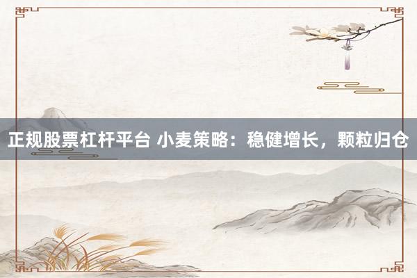正规股票杠杆平台 小麦策略：稳健增长，颗粒归仓